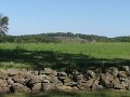 Gettysburg 131